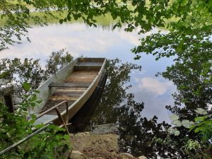 Zwischen Blättern ein Holzboot am Ufer des Stechlinsees, in dem sich der blauweiße Himmel spiegelt.