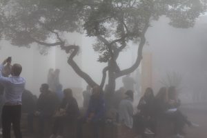 Biennale-Besucher im Nebel unter einem Baum in Venedigs Giardini