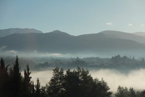 Berglandschaft, Nebel, Bäume im VG
