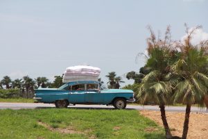 Ein hellblauer Oldtimer (Chevrolet Bel Air) steht, voll besetzt, mit vier Matratzen auf dem Dach in der Sonne zwischen Gras und Palmen (bei Viñales)
