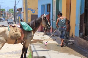 Am Straßenrand sitzt ein Mann auf der Hauseingangs-Stufe, seine Frau kehrt die Straße, ein angebundenes Pferd im Vordergrund. (Trinidad, Cuba)