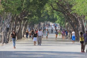 Spaziergänger in einer Allee in Havanna (Cuba)