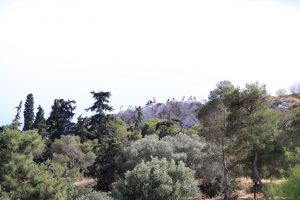 Blick über Bäume und Felsen hinauf zum Areopag in Athen, wo sich Menschen befinden.